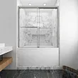 shower door